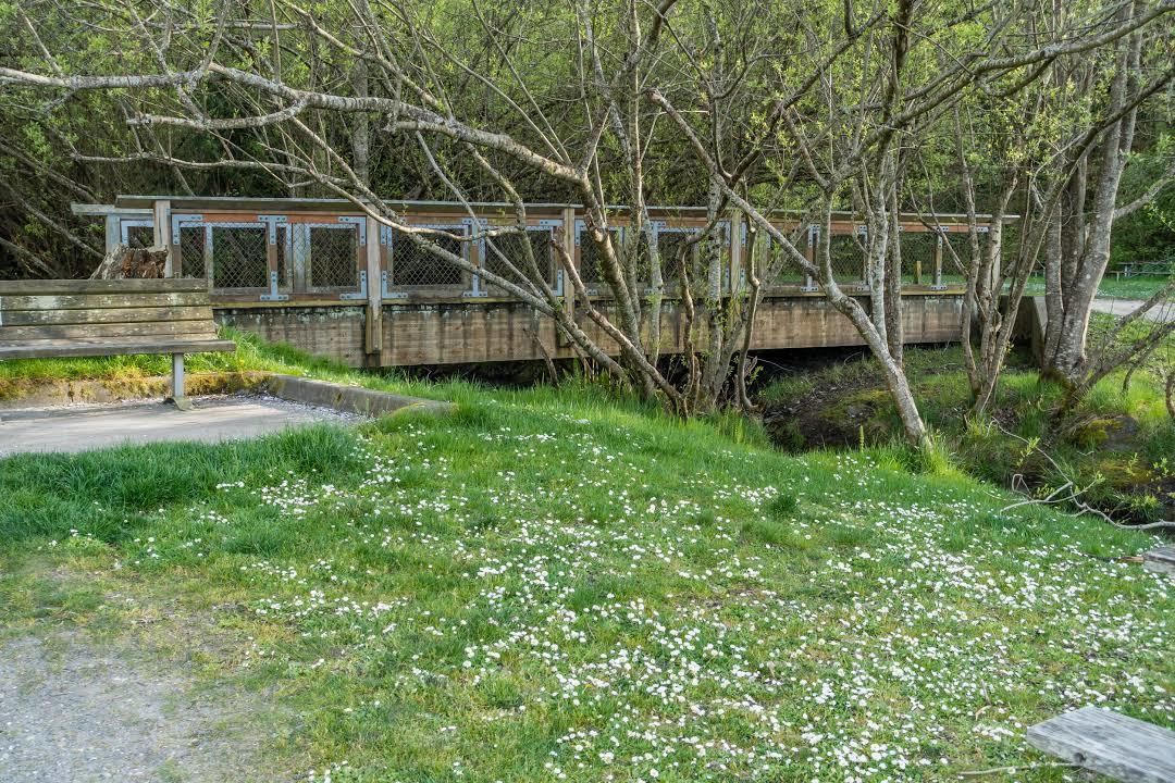 Dash Point State Park