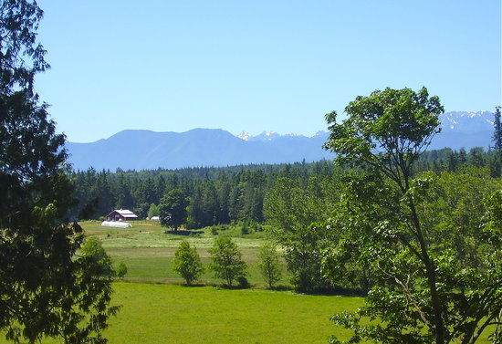 Finnriver Farm & Cidery