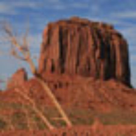 Gonzalez Mexican & American Grill