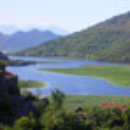 Cibelli's Pizza Westside