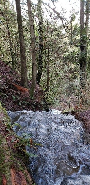 Lookout Mountain Preserve