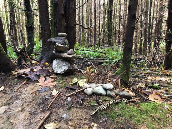 North Kitsap Heritage Park