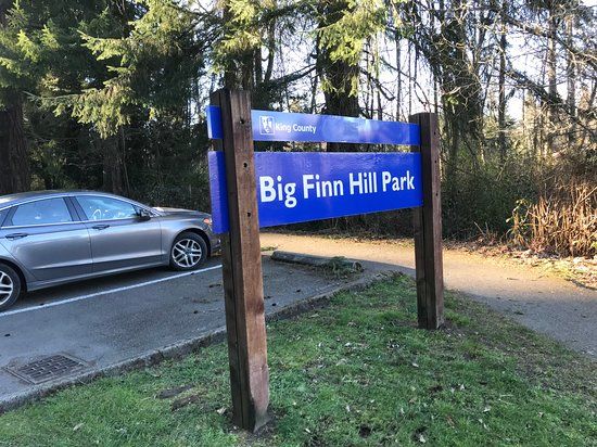 Big Finn Hill Park