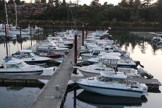Port of Brookings Harbor
