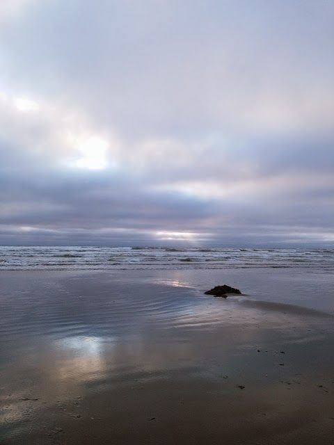 Grayland Beach State Park