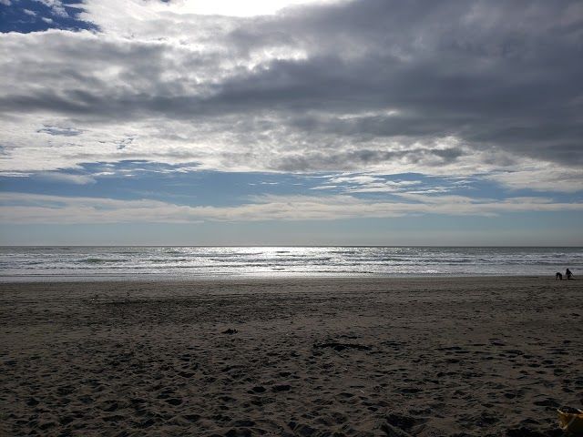 Twin Harbors State Park