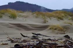 Nehalem Spit