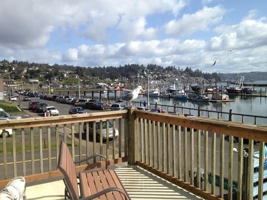 Sail Inn Cafe