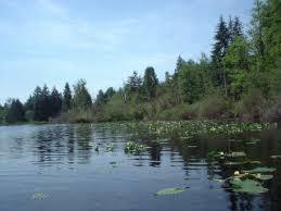 Lake Cassidy