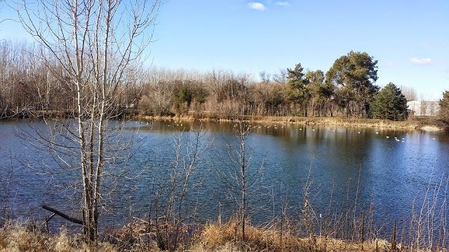 Eagle Island State Park