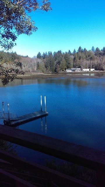 Wollochet Bay Estuary Park