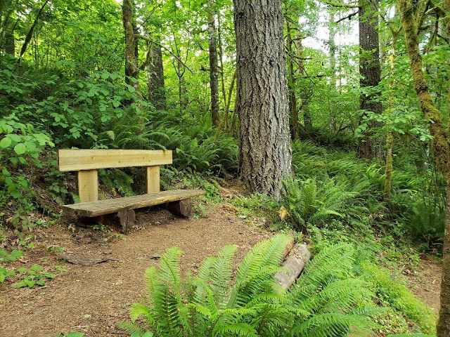 Miller Woods Conservation Area