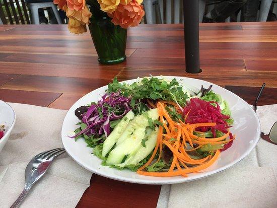 Wild Island Restaurant