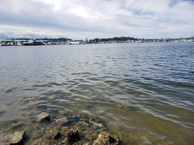 Port Orchard Waterfront Park