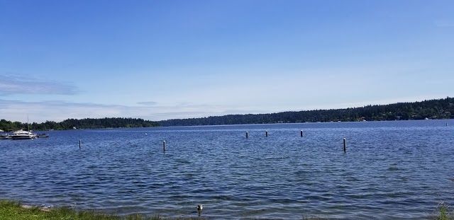 Pritchard Island Beach