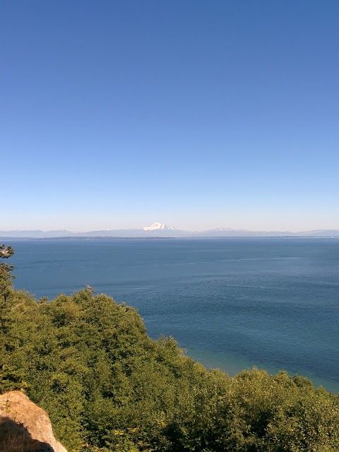 Lily Point Marine Reserve