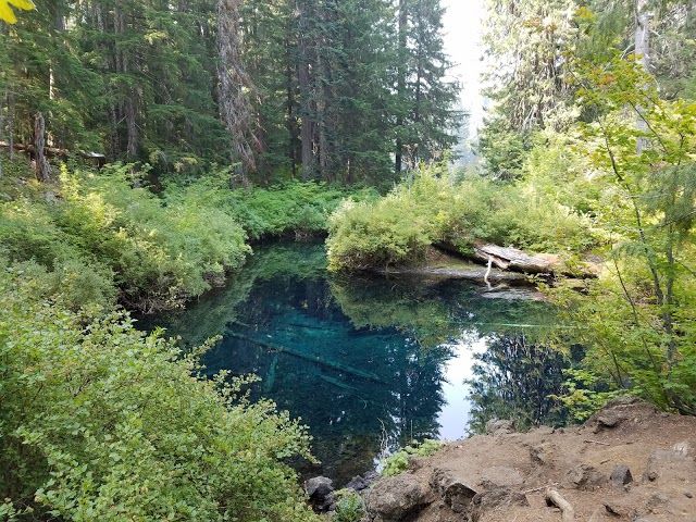 McKenzie River Trail