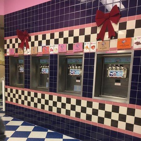 Blue Cow Frozen Yogurt