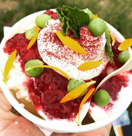 SUSU Rolled Ice Cream