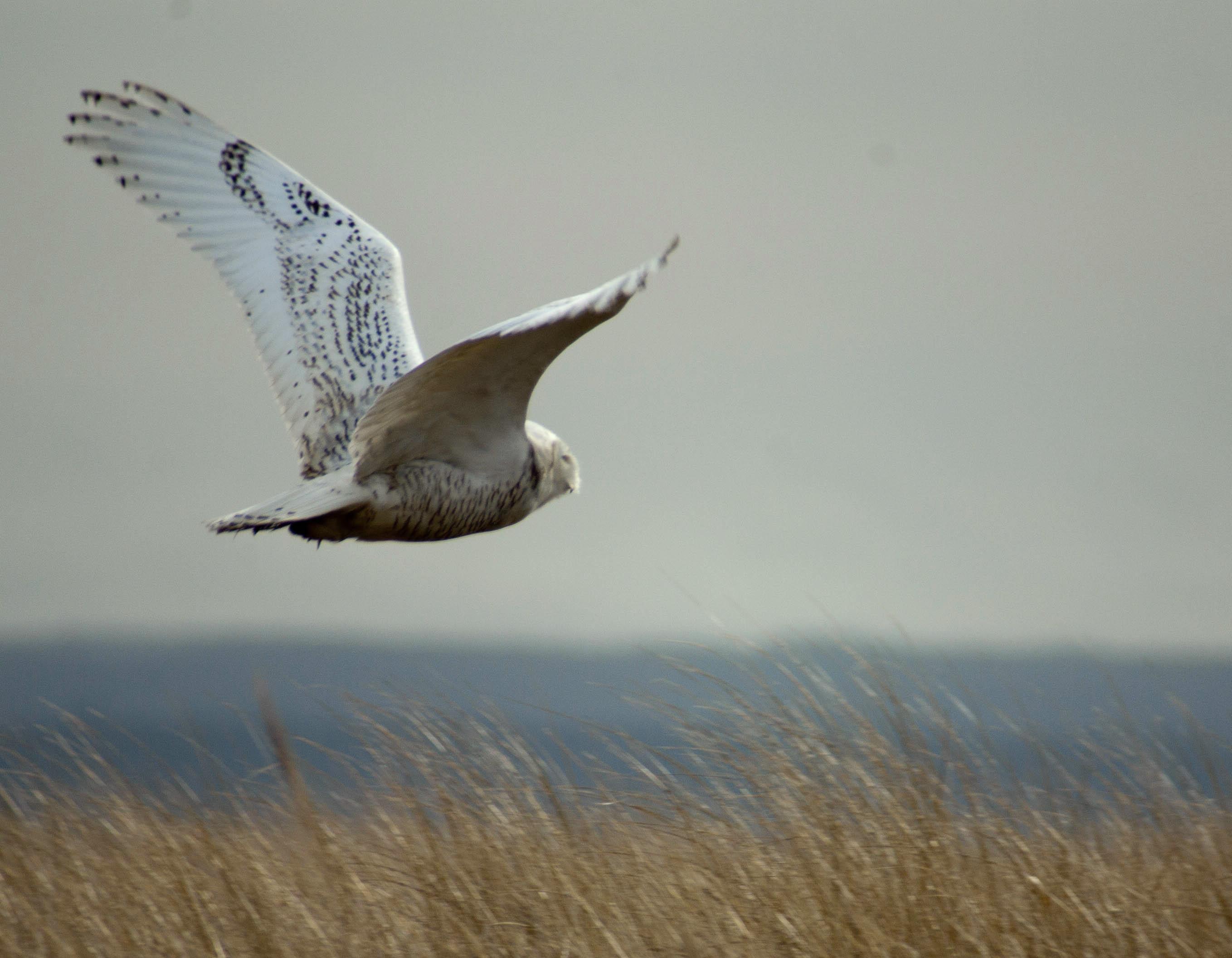 Damon Point State Park