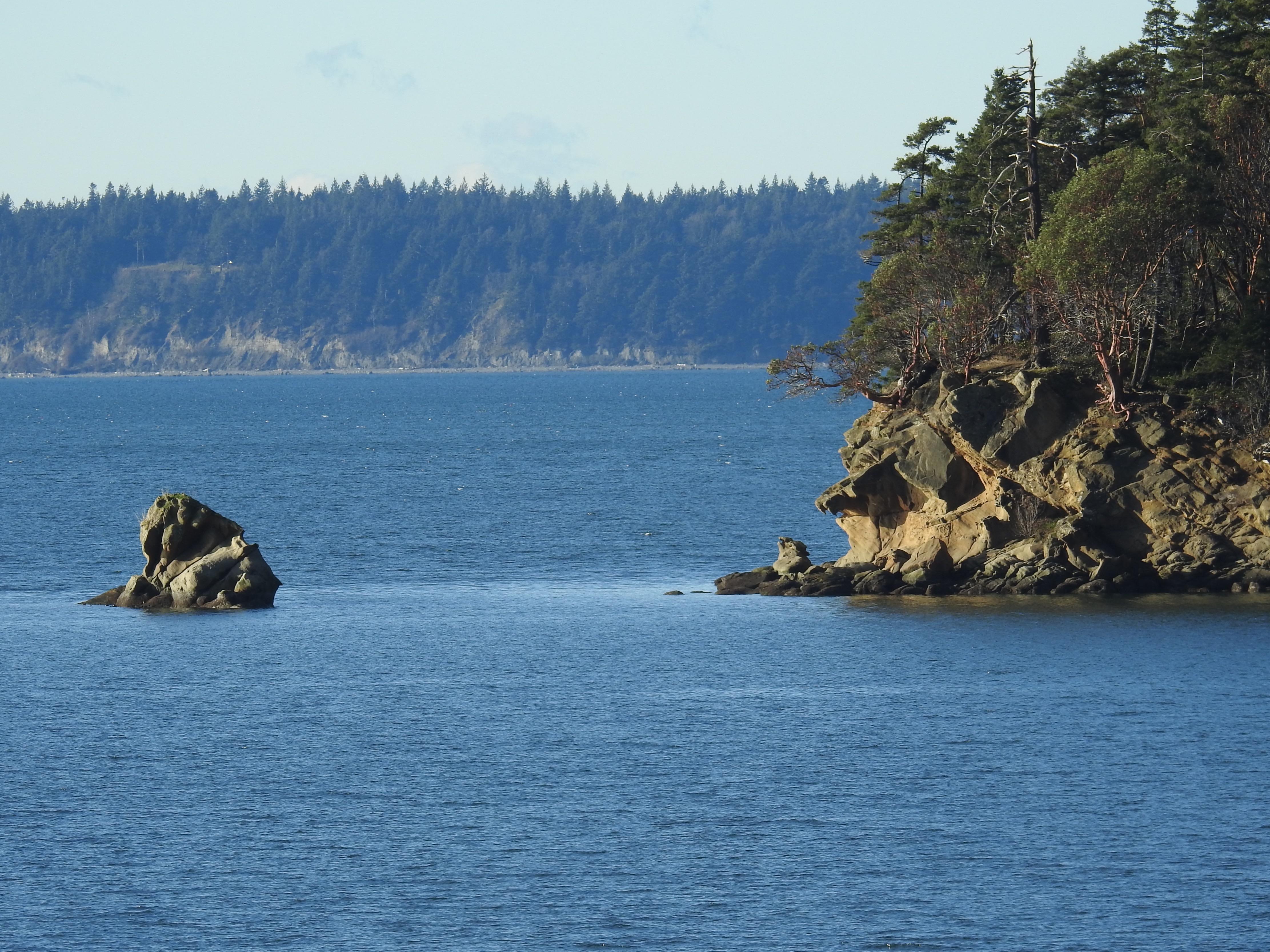 Chuckanut Island