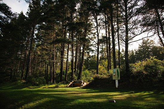 Ocean Dunes Golf Links