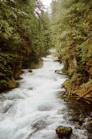Oregon Trail of Dreams