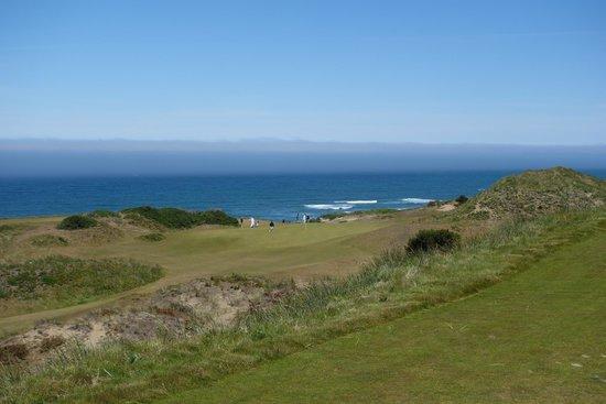 Pacific Dunes
