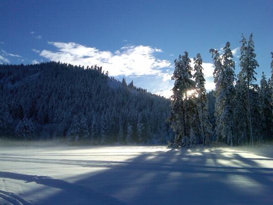Plain Valley Nordic Trails