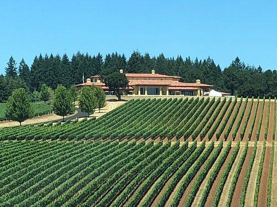 Domaine Serene