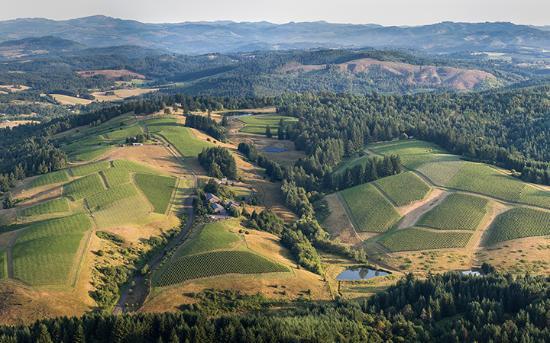 WillaKenzie Estate