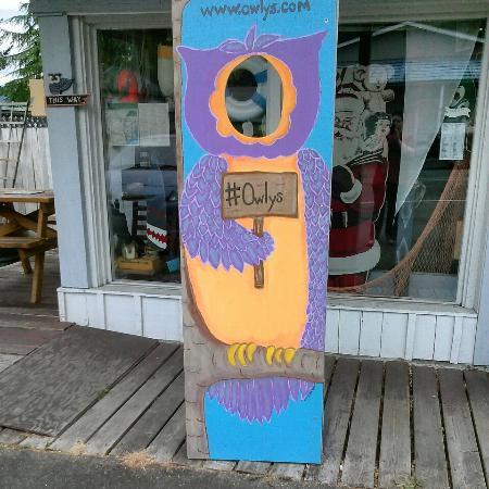 Owly's Wayside Nest