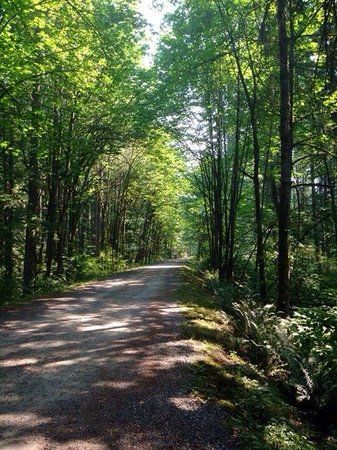 Lake Wilderness Arboretum