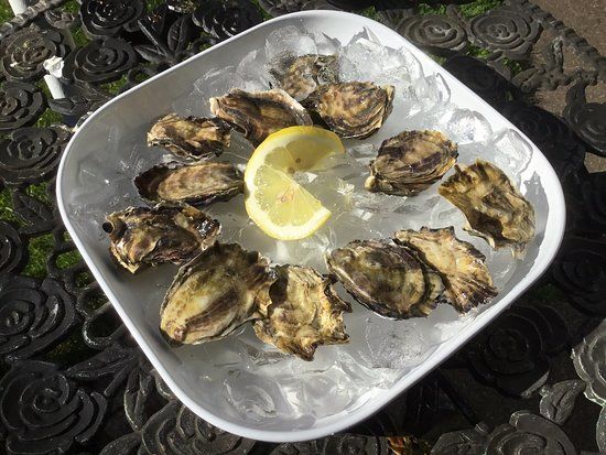 Nevor Shellfish Farm