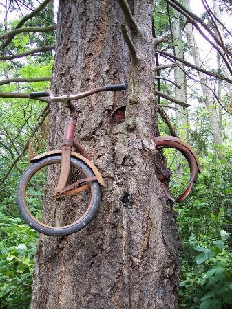 Old Bicycle in the Tree