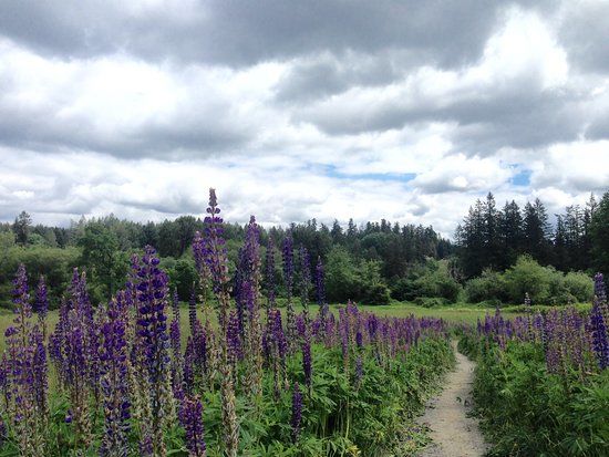 Evans Creek Preserve