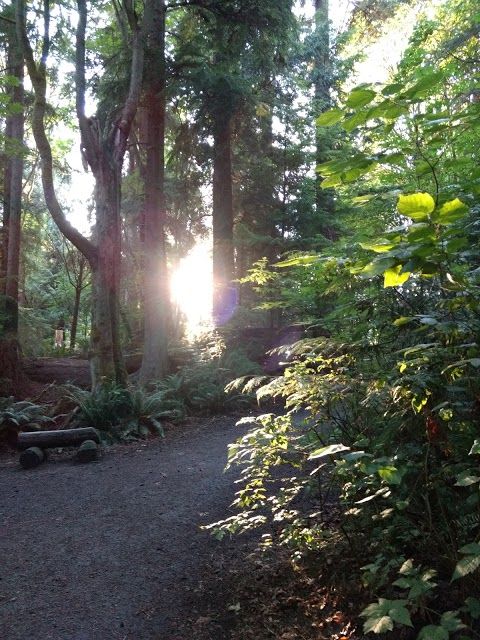 Schmitz Preserve Park