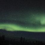 Traveler's Tea Company