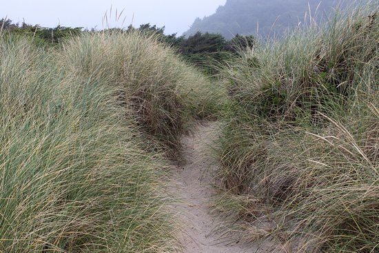 Manhattan Beach State Recreation Site