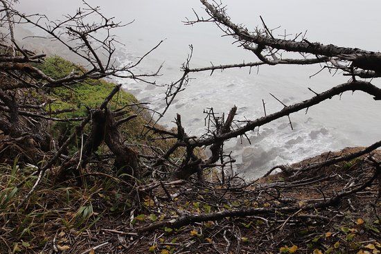 Blacklock Point Trail
