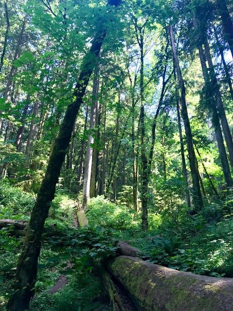 Wildwood Trailhead at Germantown Rd