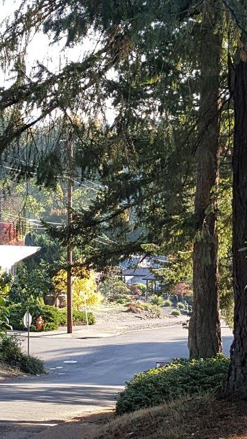 Cloverland City Park