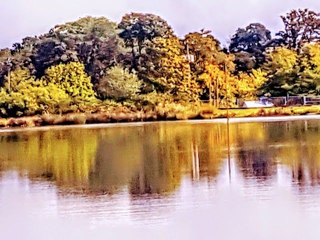 Hampton Park