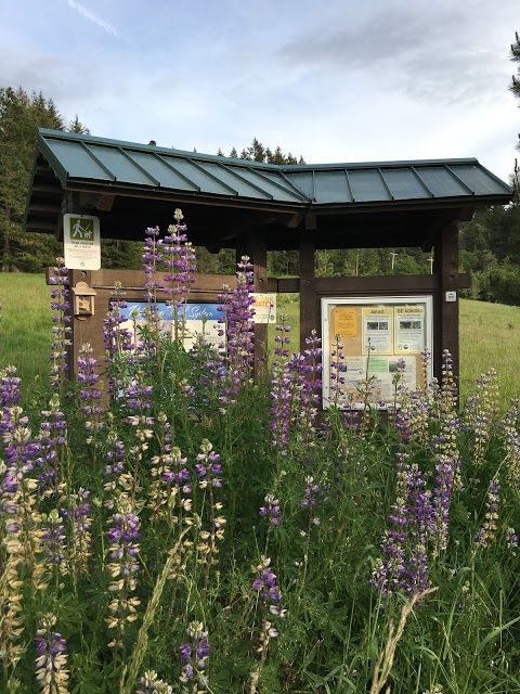 Blanton Ridge Trailhead Parking Lot