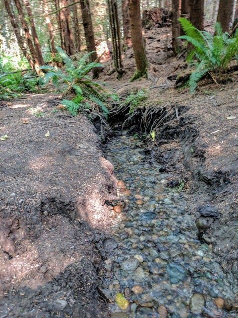 Port Gamble Forest Heritage Park