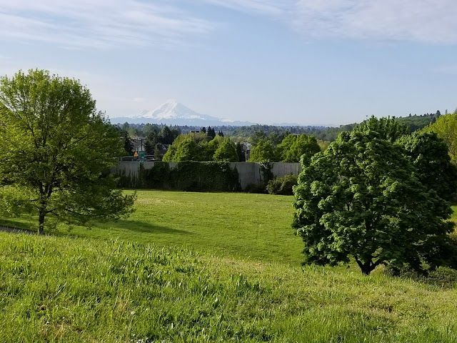 Judkins Park and Playfield
