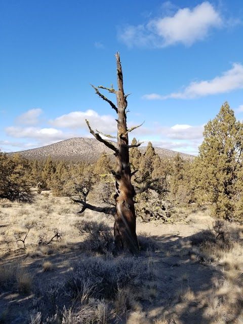Juniper Trailhead