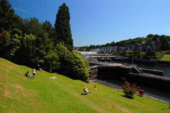 Carl English Jr Botanical Gardens