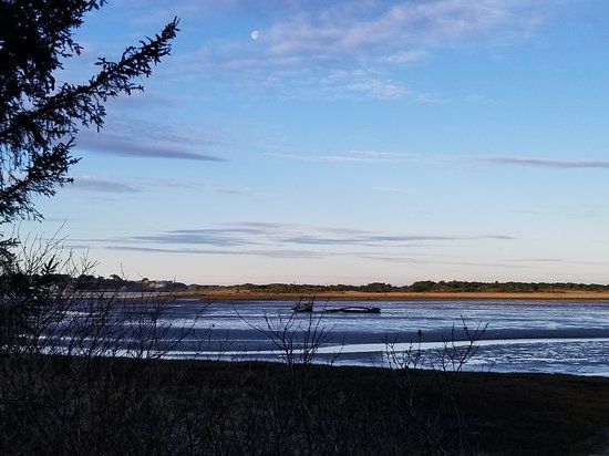 Bandon Marsh National Wildlife Refuge