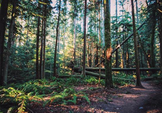 Stimpson Family Nature Preserve